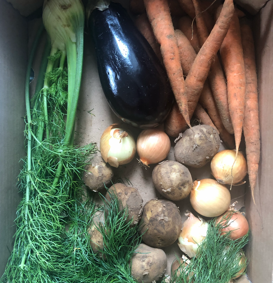 Box of fresh vegetables.png