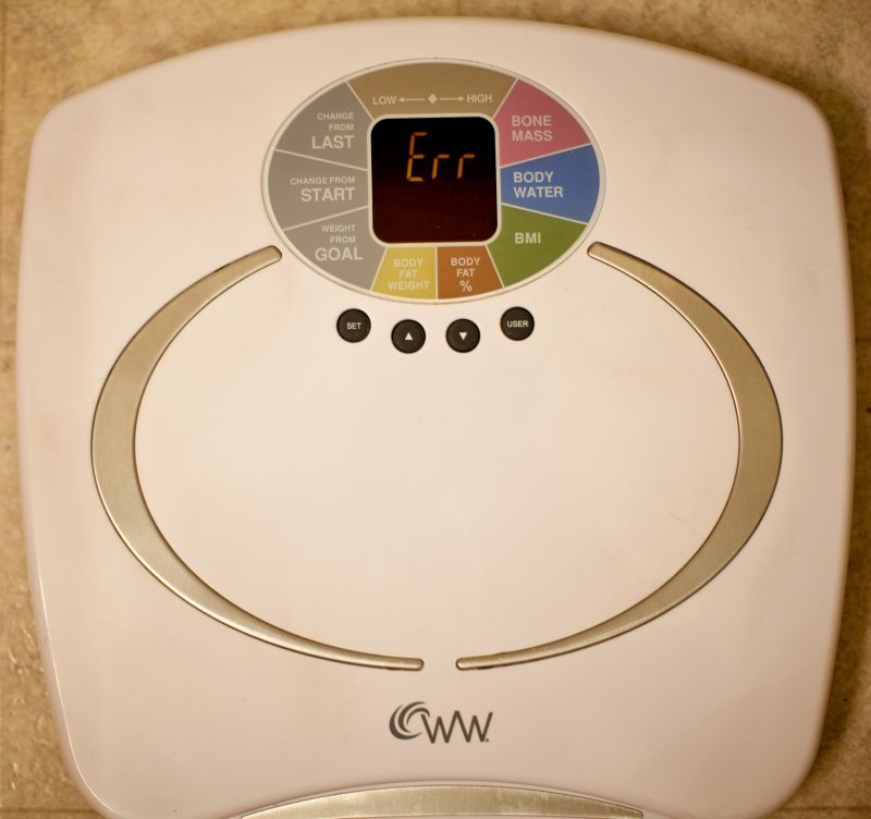 Bathroom Scale (4517197776).jpg
