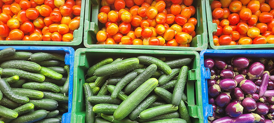 Harvested vegetables(Tomatoes, Cucumbers and Aubergine).jpg