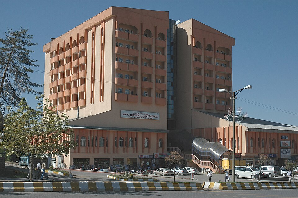 Mush Hospital 1230.jpg