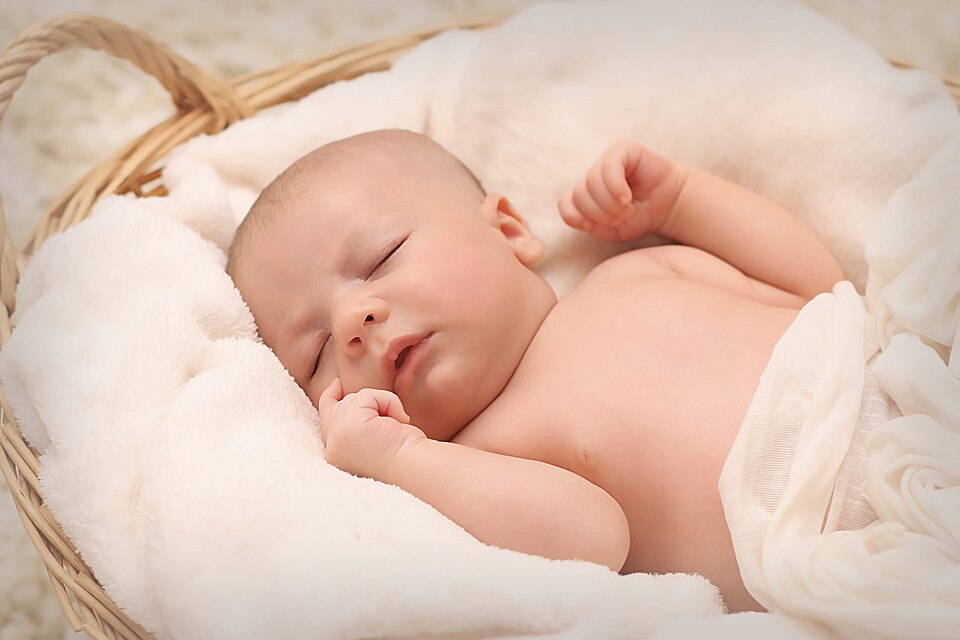 Newborn baby sleeps in a basket.jpg