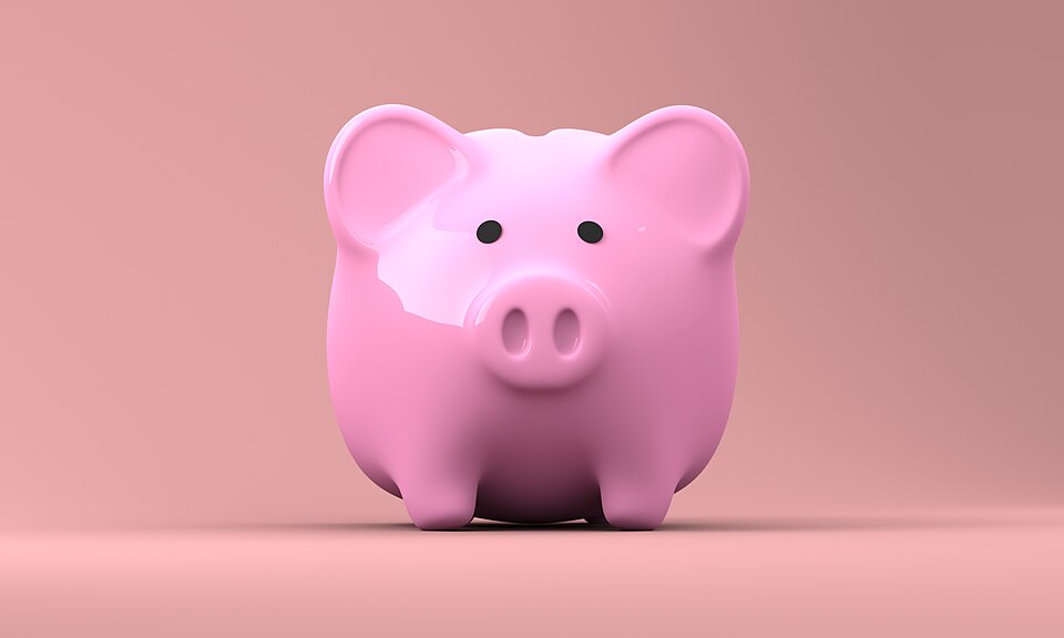 Piggy bank on pink background.jpg
